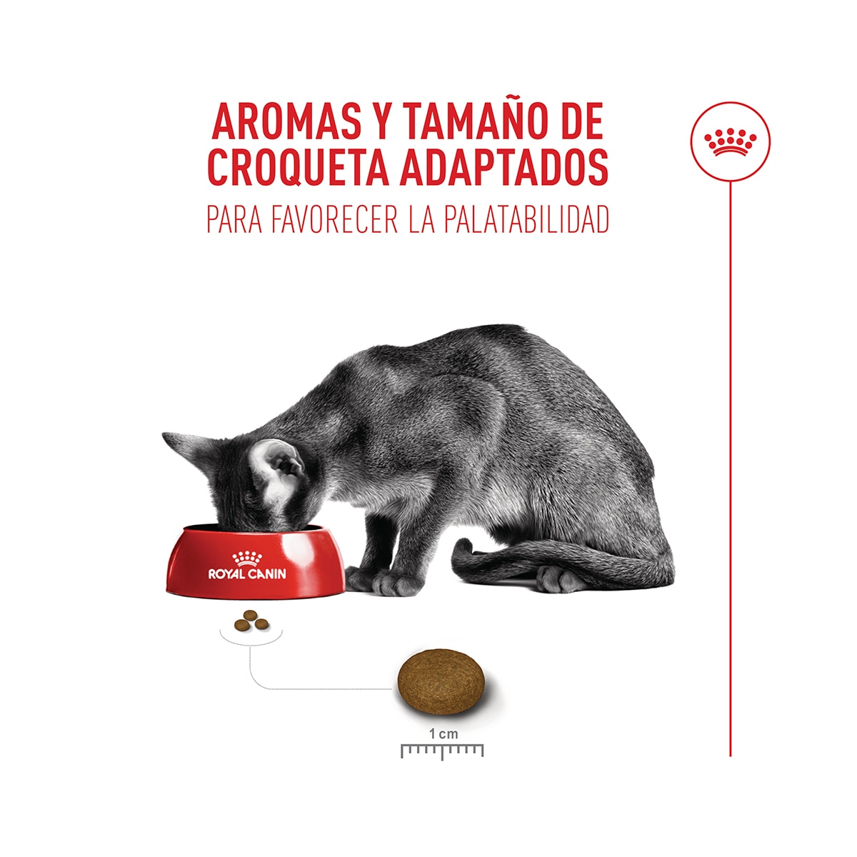 Pienso para gatos adultos Royal Canin Fussy Exigent 7