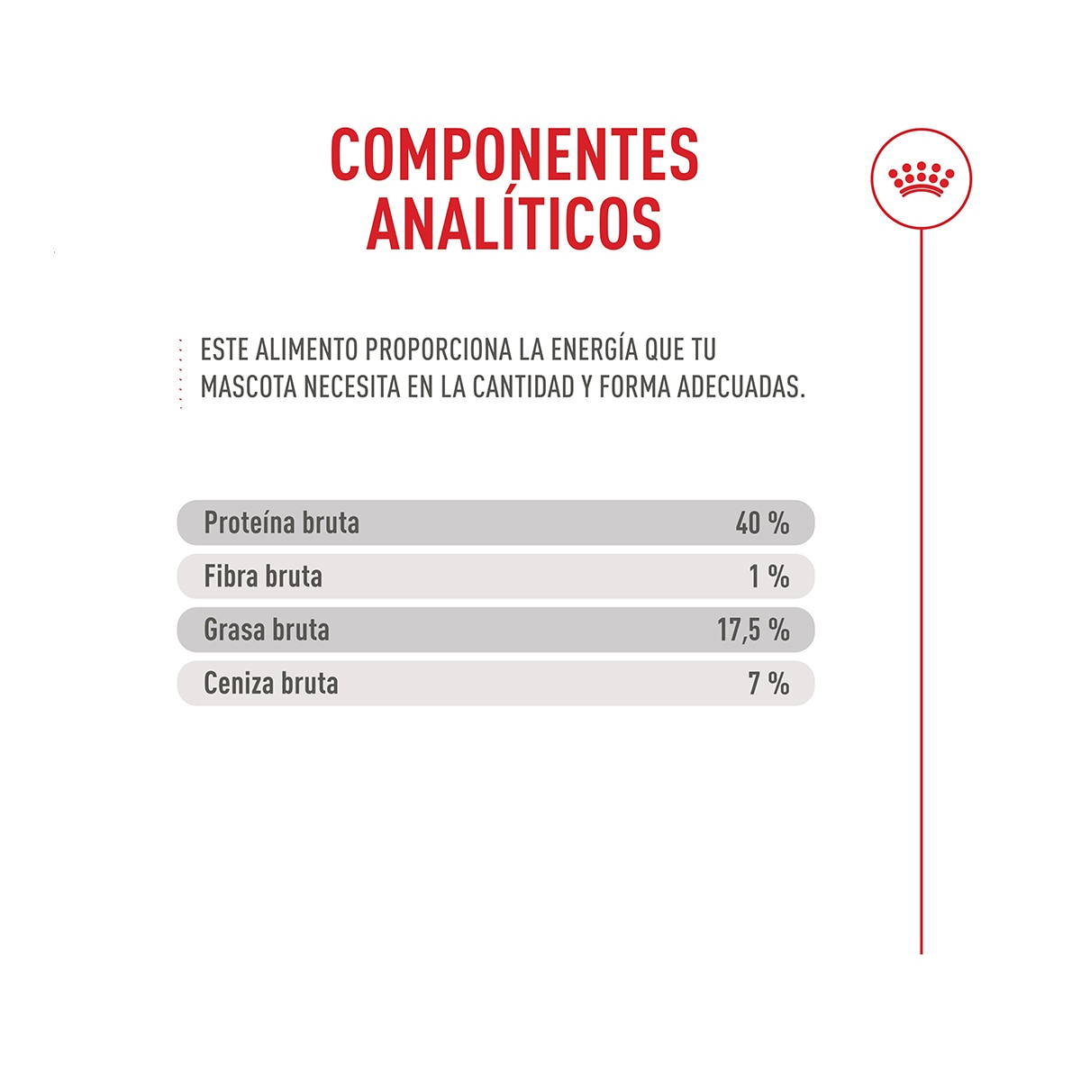 Pienso para gatos adultos Royal Canin Fussy Exigent 8