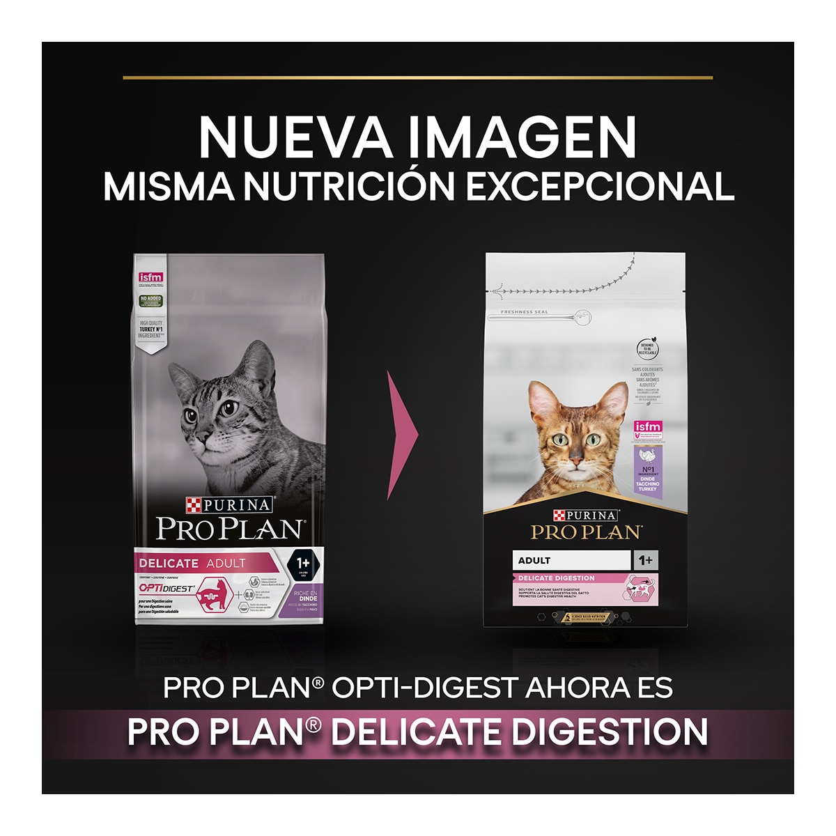 Pienso para gatos adultos digestión sensible Pro Plan pavo 3 kg 5
