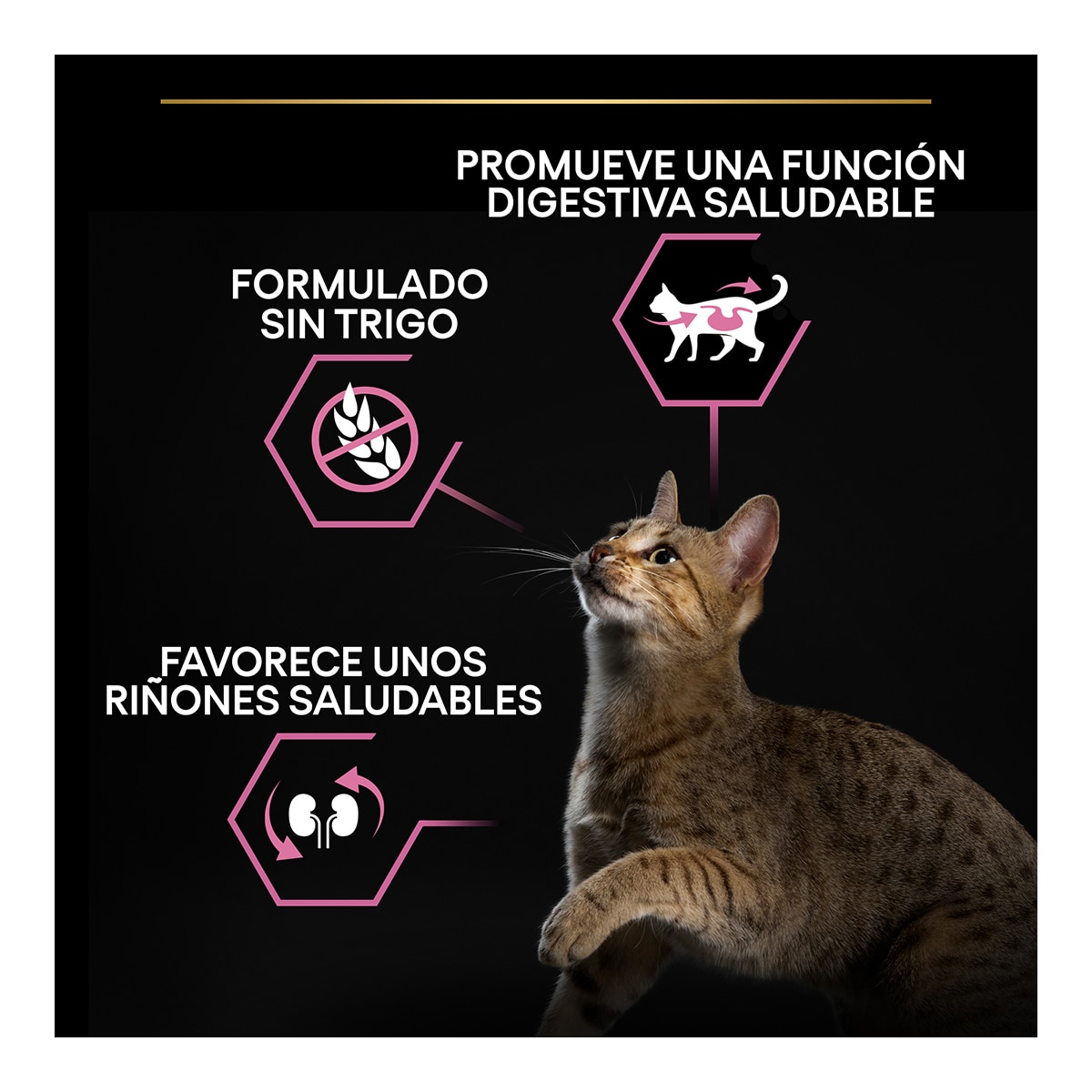Pienso para gatos adultos digestión sensible Pro Plan pavo 3 kg 6