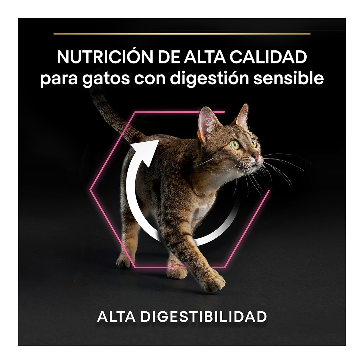 Pienso para gatos adultos digestión sensible Pro Plan pavo 3 kg 7
