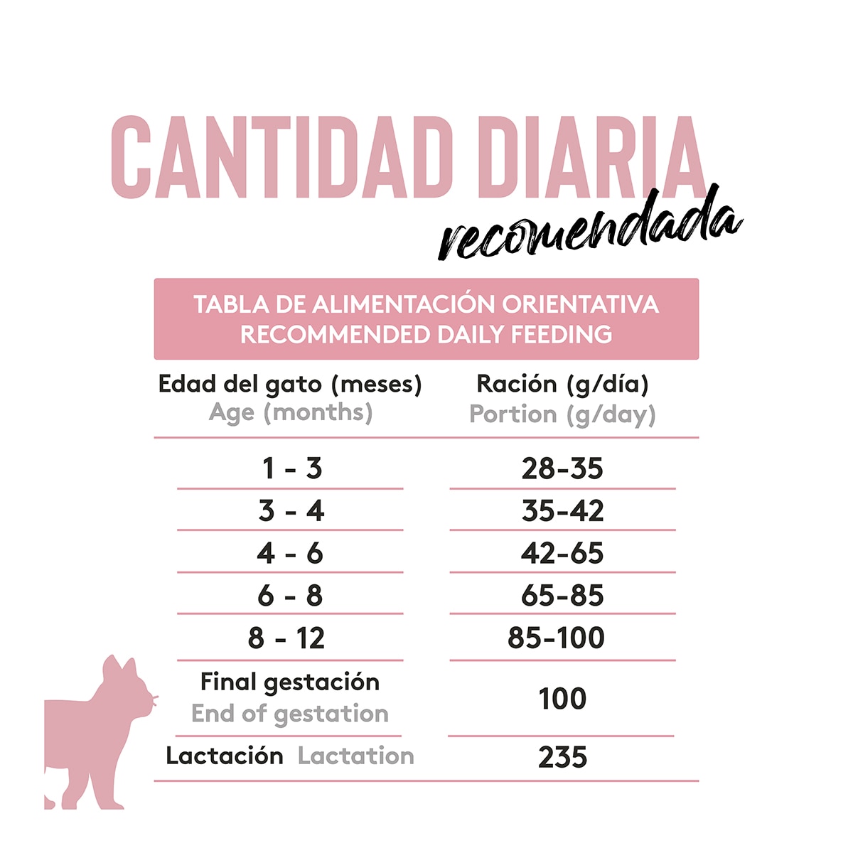 Pienso para gatitos Grain Free Dibaq Sense pavo 3