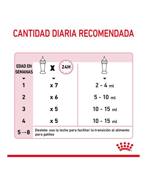 Leche para gatitos Royal Canin Babycat milk 300 g 4