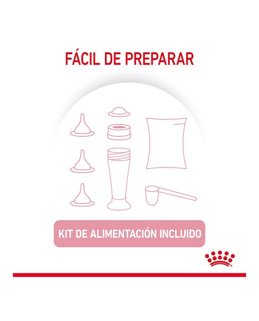 Leche para gatitos Royal Canin Babycat milk 300 g 5