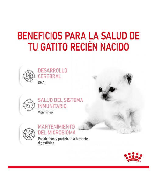 Leche para gatitos Royal Canin Babycat milk 300 g 6