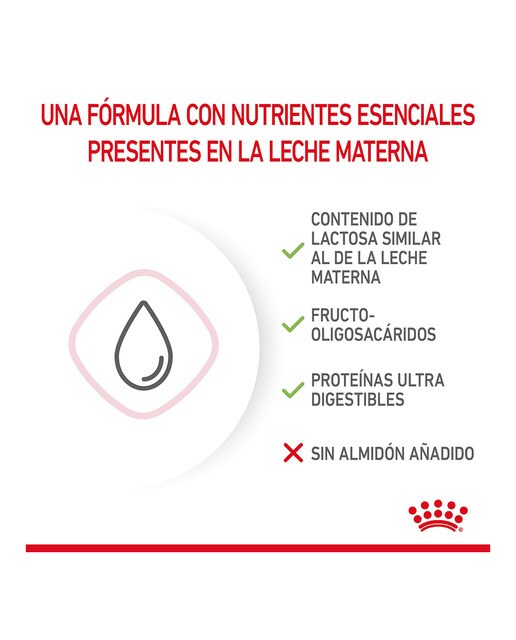 Leche para gatitos Royal Canin Babycat milk 300 g 7