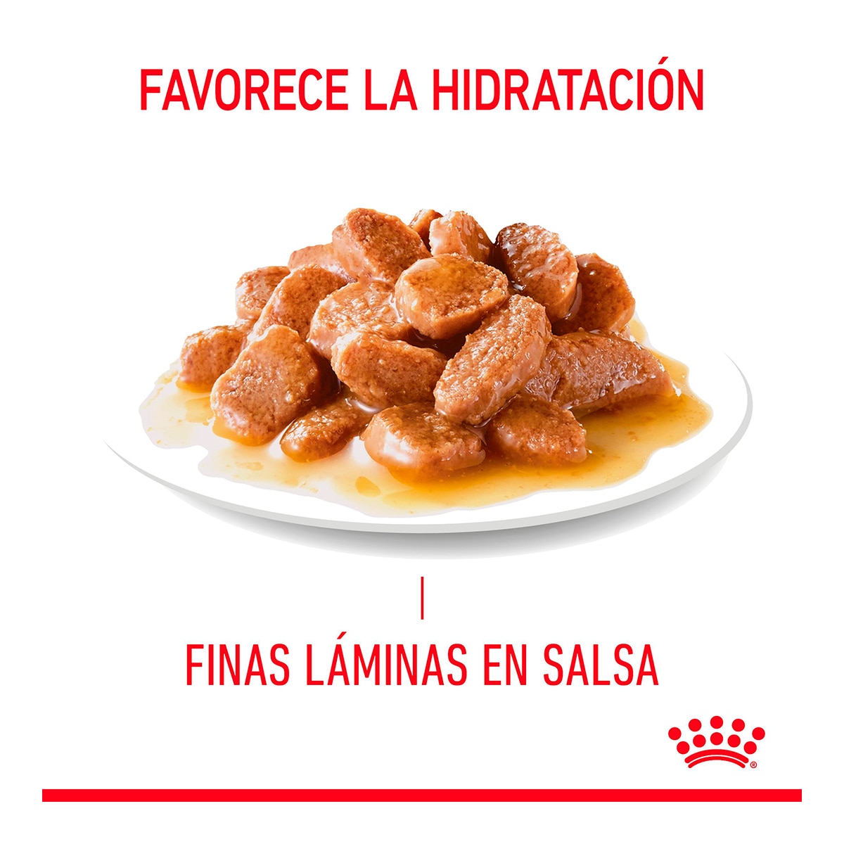 Comida húmeda para gatos adultos Royal Canin Hair & Skin en salsa 85g 4