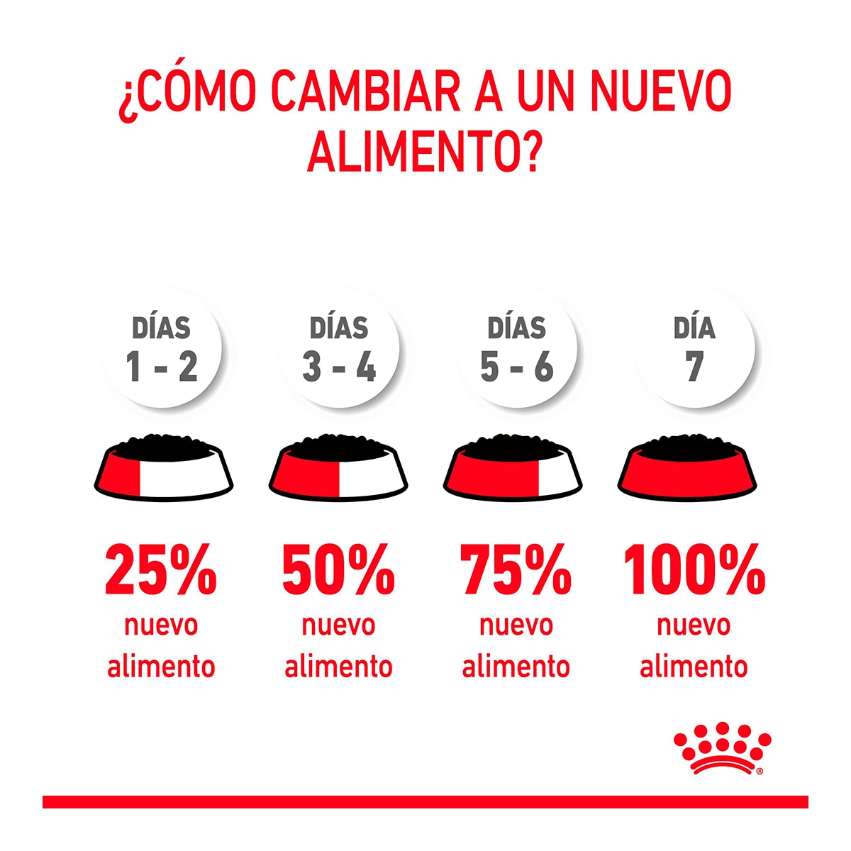 Comida húmeda para gatos adultos Royal Canin Hair & Skin en salsa 85g 8