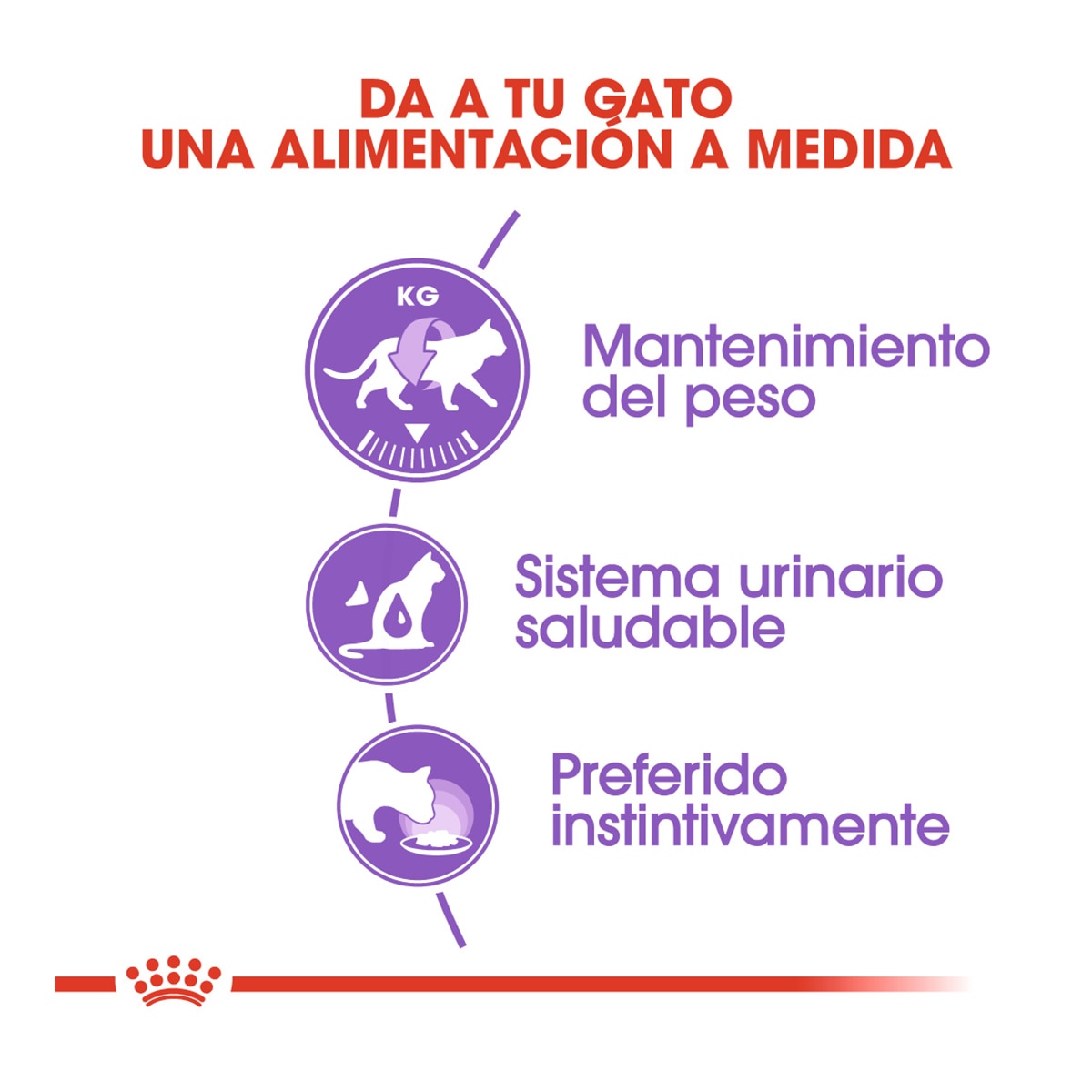 Comida húmeda para gatos adultos Royal Canin Sterilised en salsa 85 g 2