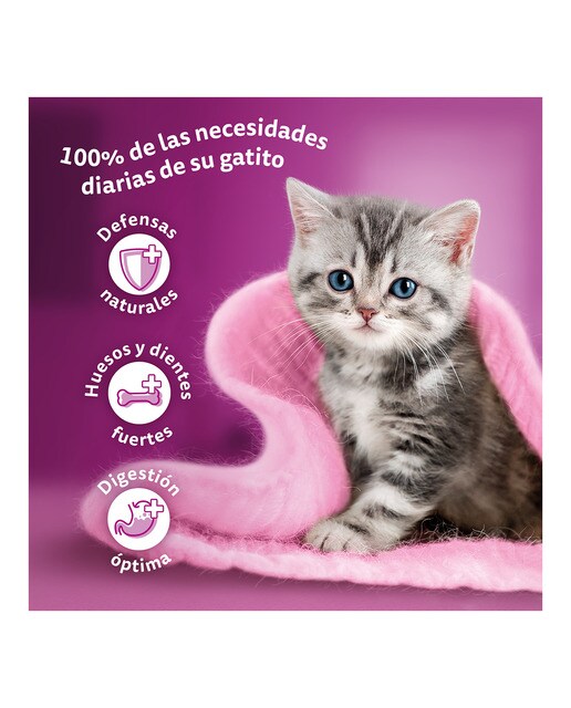 Comida húmeda para gatos Whiskas Junior Selección Carne 4 x 85 g 5