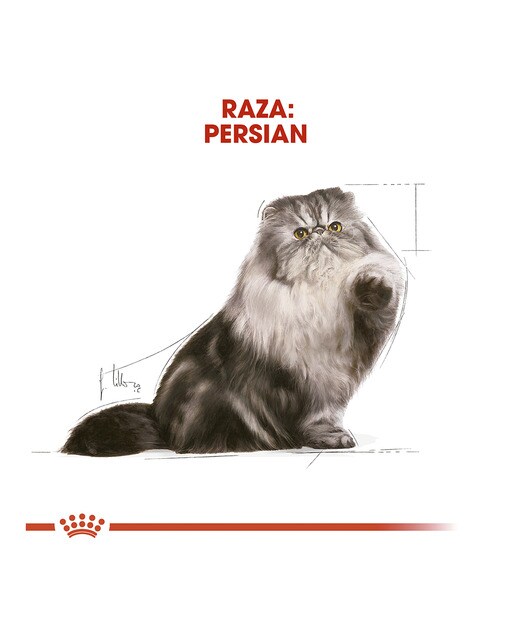 Comida húmeda para gatos adultos Royal Canin Persa 85 g 2
