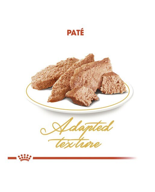 Comida húmeda para gatos adultos Royal Canin Persa 85 g 3