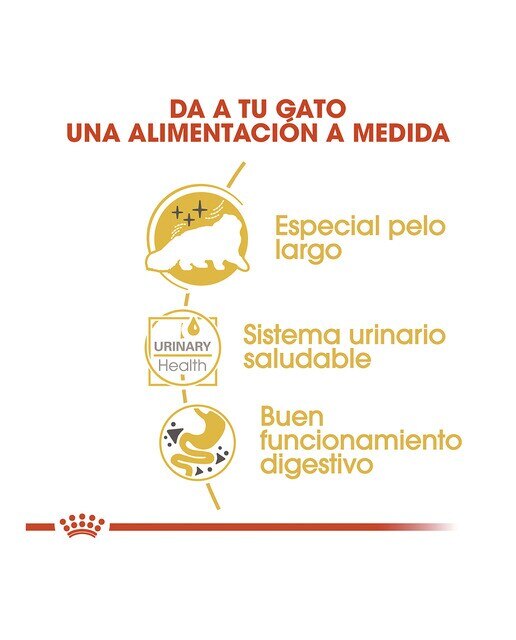 Comida húmeda para gatos adultos Royal Canin Persa 85 g 4