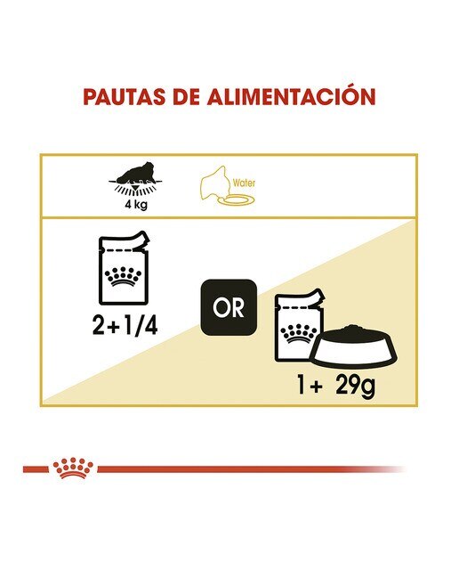 Comida húmeda para gatos adultos Royal Canin Persa 85 g 5