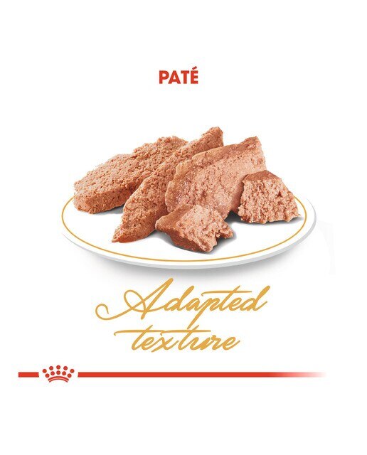 Comida húmeda para gatos adultos Royal Canin Persa 85 g 6