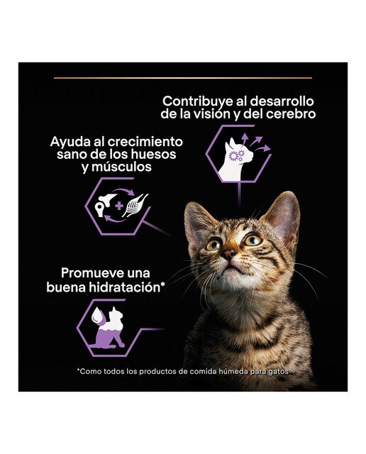 Comida húmeda para gatitos Purina Pro Plan Healthy Start pavo en salsa 85 g 3