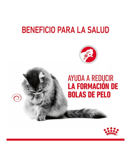 Comida húmeda para gatos adultos Royal Canin Hairball en salsa 85 g 2