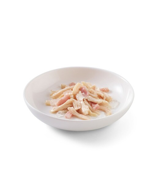 Comida húmeda para gatos adultos Schesir filetes de pollo con jamón 70 g 2