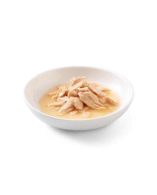 Comida húmeda para gatos adultos Schesir salmón al natural 85 g 2