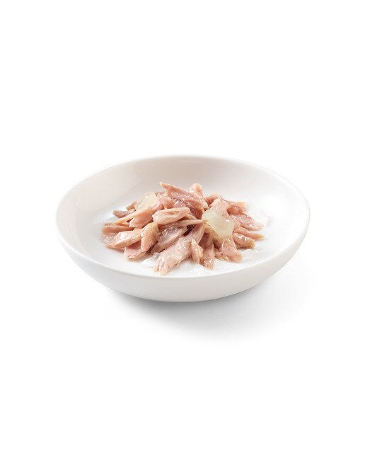 Comida húmeda para gatitos Schesir atún con aloe 85 g 2
