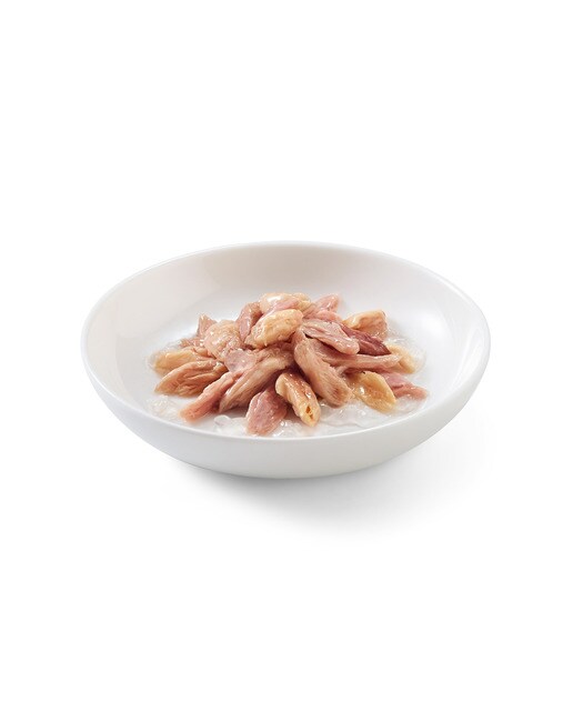 Comida húmeda para gatos adultos Schesir atún con salmón 6 x 50 g 2