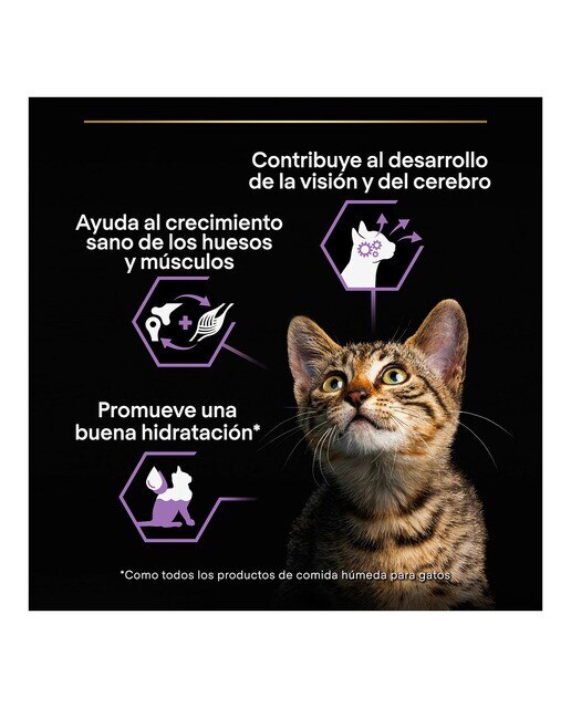 Comida húmeda para gatitos Purina Pro Plan Healthy Start mousse pollo 85 g 3