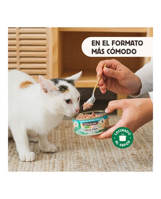 Comida húmeda para gatos Wild Balance barf cocinado al vapor pescado salvaje, pavo y verduras frescas 120 g 3