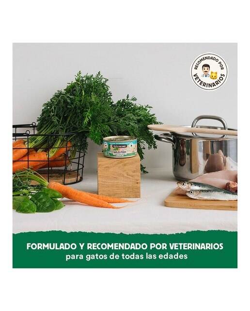 Comida húmeda para gatos Wild Balance barf cocinado al vapor pescado salvaje, pavo y verduras frescas 120 g 4