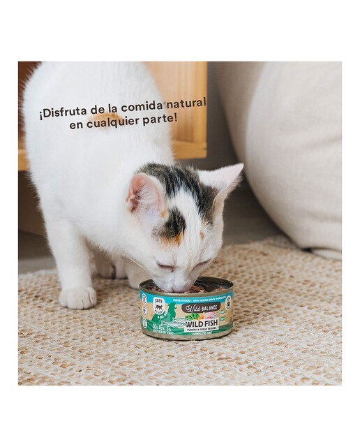 Comida húmeda para gatos Wild Balance barf cocinado al vapor pescado salvaje, pavo y verduras frescas 120 g 5