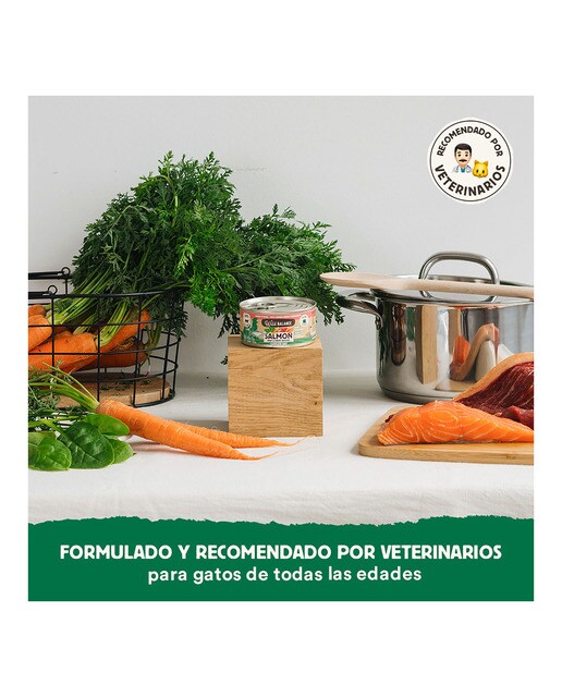 Comida húmeda para gatos Wild Balance barf cocinado al vapor salmón, ternera y verduras frescas 120 g 4
