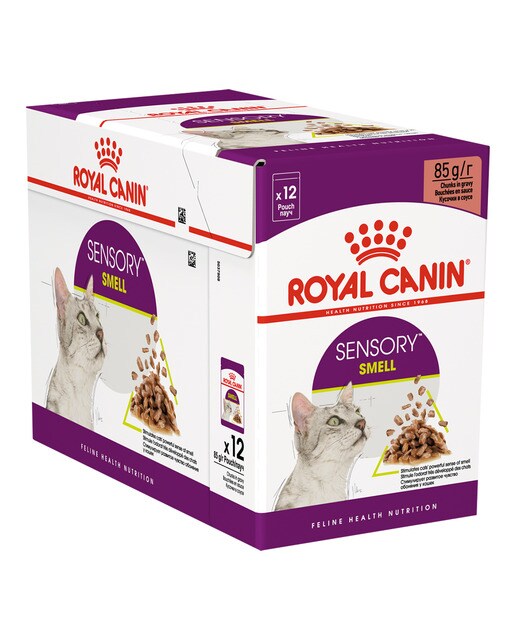 Royal Canin - Comida húmeda para gatos adultos Royal Canin Sensory Smell 12 x 85 g