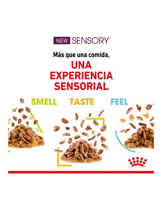 Comida húmeda para gatos adultos Royal Canin Sensory Smell 12 x 85 g 3