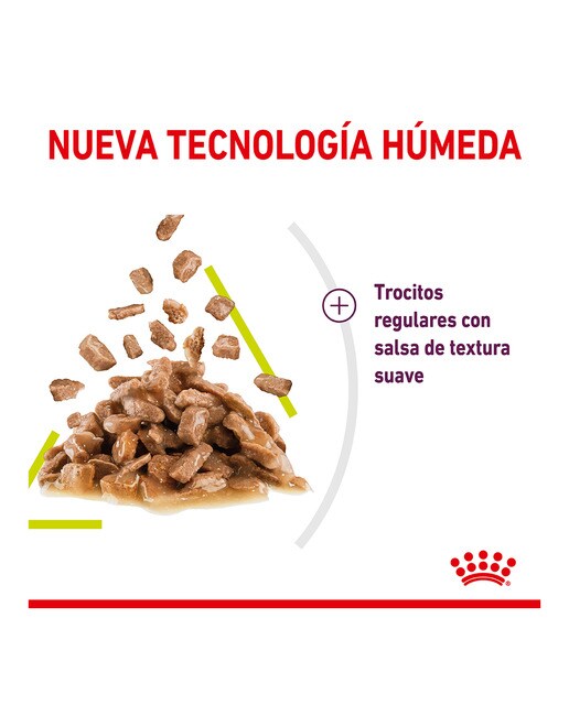 Comida húmeda para gatos adultos Royal Canin Sensory Smell 12 x 85 g 4