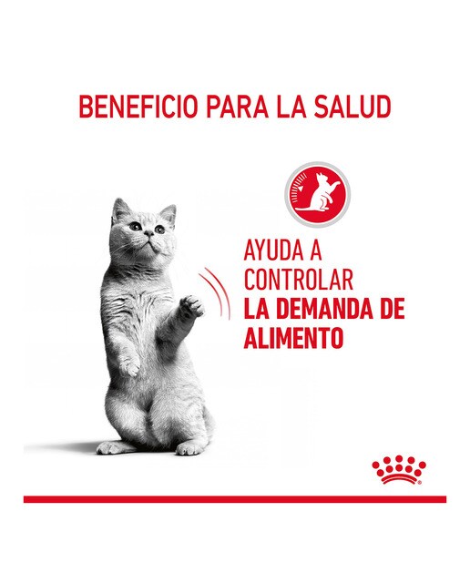 Comida húmeda para gatos adultos Royal Canin control del apetito en salsa 85 g 3