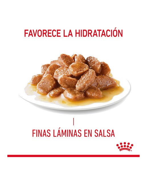 Comida húmeda para gatos adultos Royal Canin control del apetito en salsa 85 g 4
