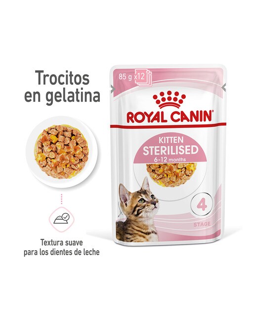 Comida húmeda para gatitos esterilizados Royal Canin en gelatina 85 g 2