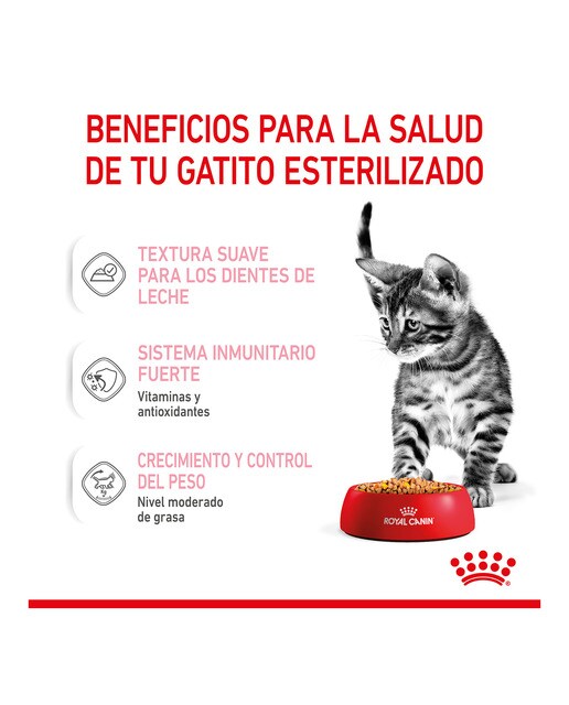Comida húmeda para gatitos esterilizados Royal Canin en gelatina 85 g 4