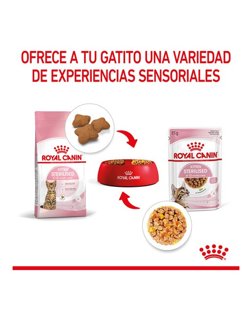 Comida húmeda para gatitos esterilizados Royal Canin en gelatina 85 g 5
