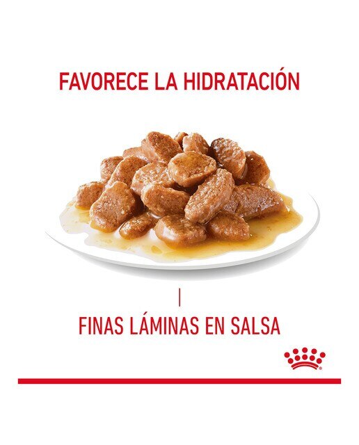 Comida húmeda para gatos adultos Royal Canin Urinary en salsa 85 g 3