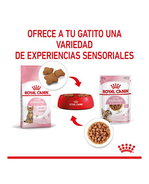 Comida húmeda para gatitos esterilizados Royal Canin en salsa 85 g 5