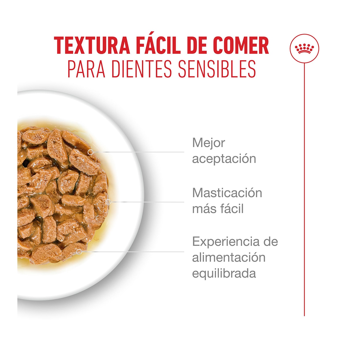 Comida húmeda para gatos sénior Royal Canin trocitos en salsa 85 g 3