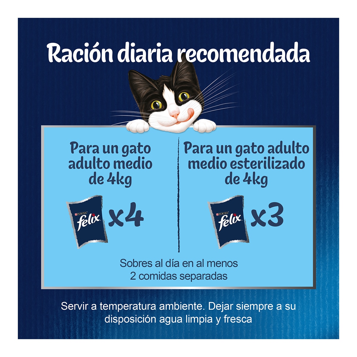FELIX Fantastic selección de carnes en gelatina para gatos 12 sobres 85 g 2