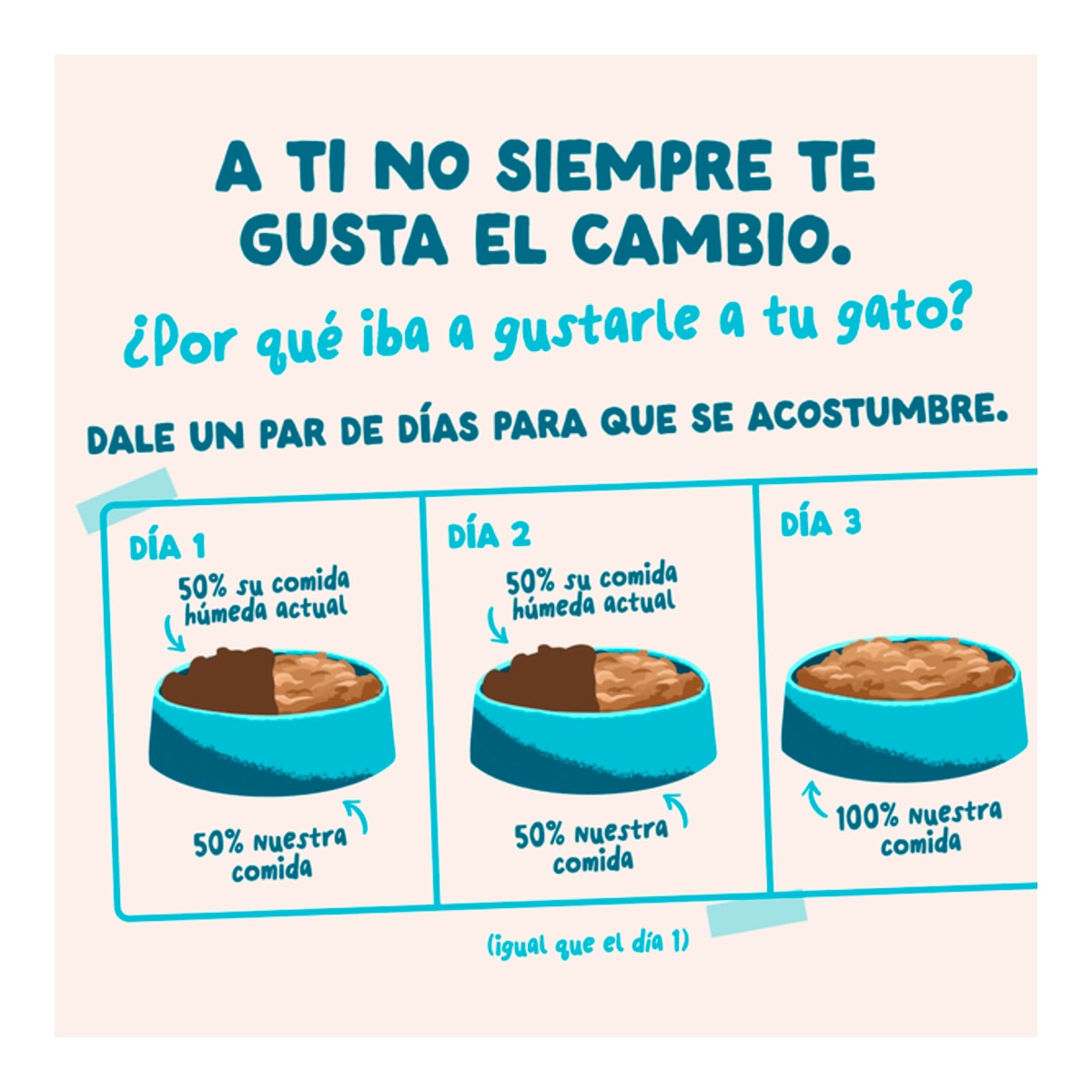 Comida húmeda para gatos adultos atún y pollo en salda Edgard&Cooper 4