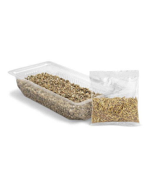 Hierba para gatos Vitakraft Cat Grass 120 g 5