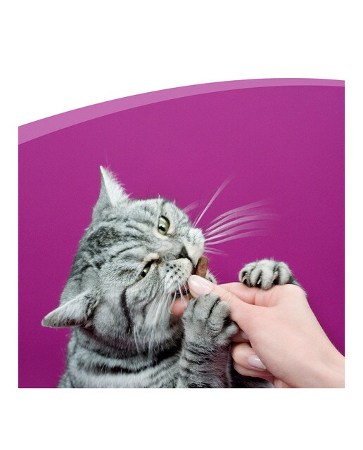 Snacks para gatos Whiskas salmón 3 sticks x 6 g 7
