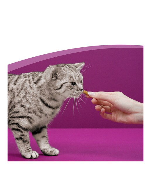 Snack para gatos Whiskas Anti-Hairball 50 g 6