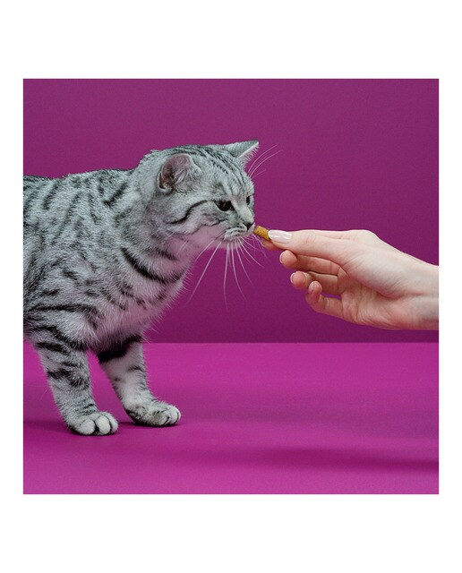 Snack para gatos adultos Whiskas Temptations pollo y queso 60 g 7