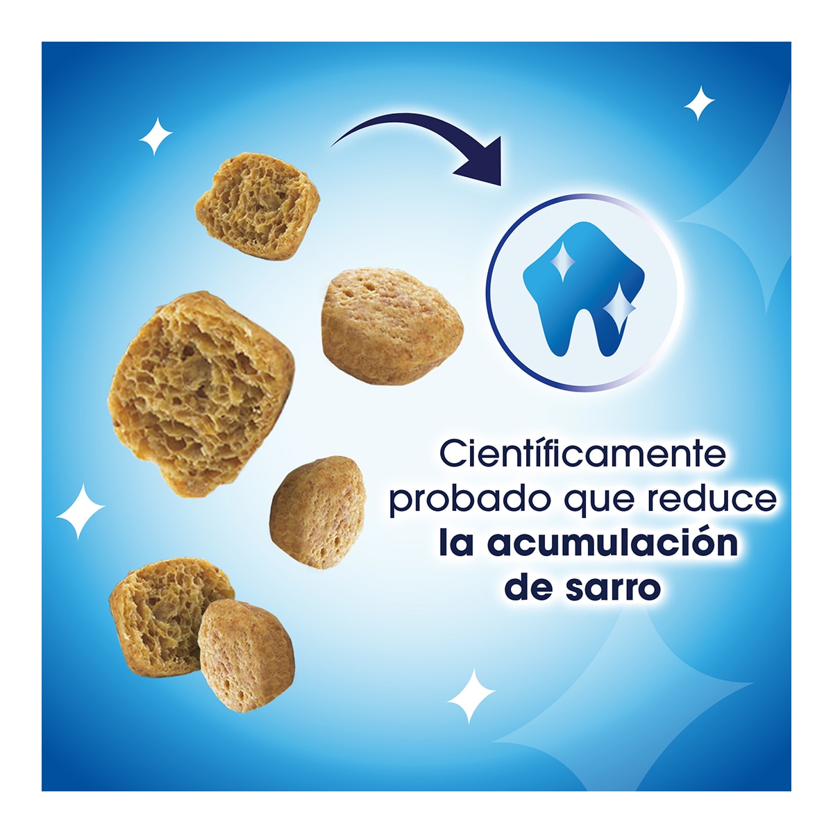 Snack para gatos adultos Purina Dentalife pollo 40 g 3