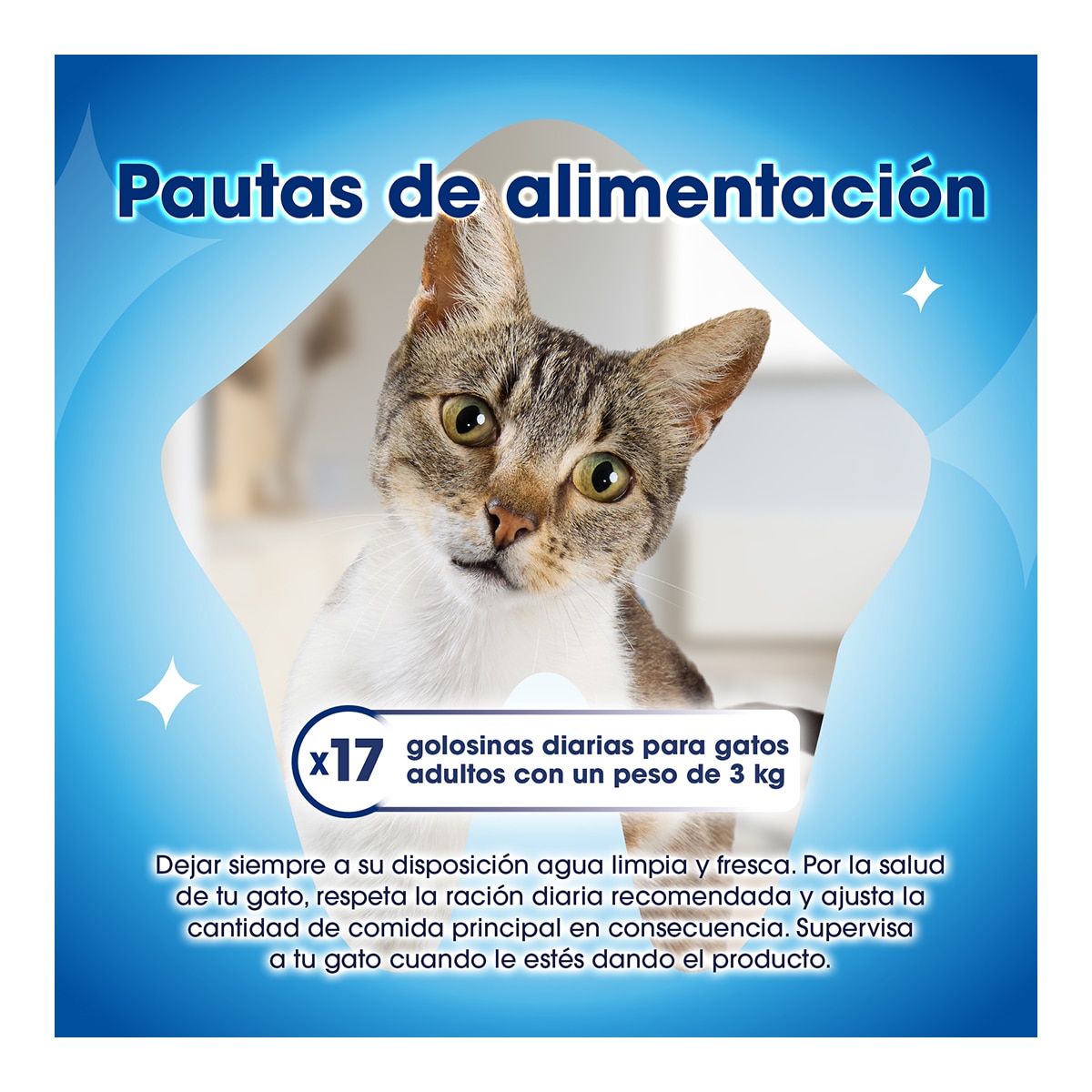 Snack para gatos adultos Purina Dentalife salmón 40 g 6