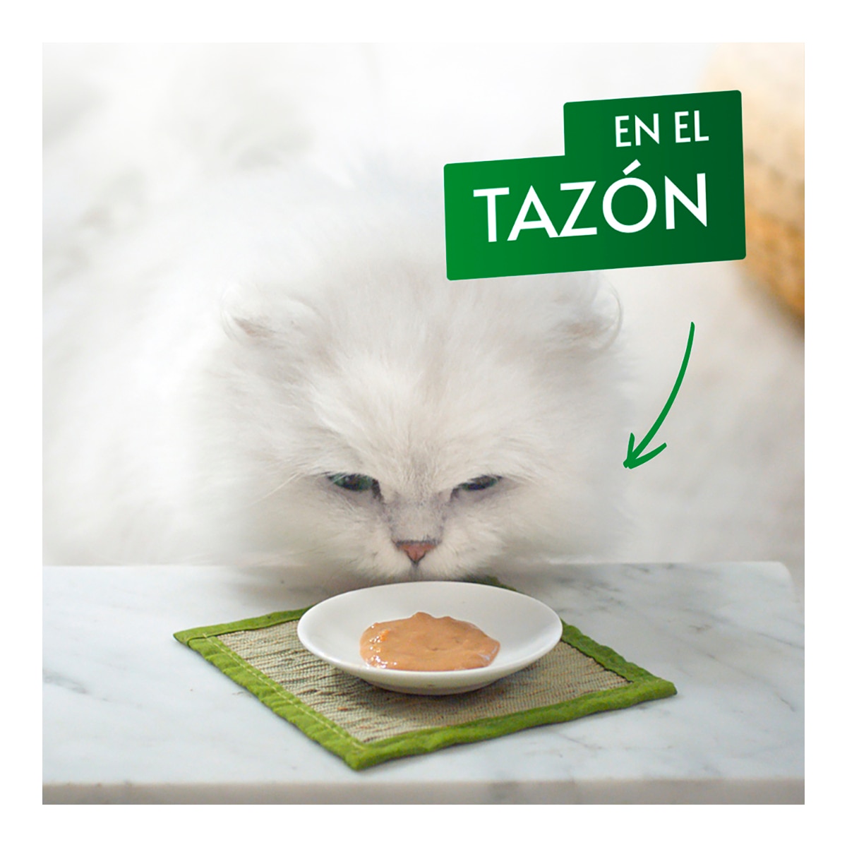 Snack para gatos adultos Purina Gourmet Nature's Creations puré con pollo 5 x 10 g 5
